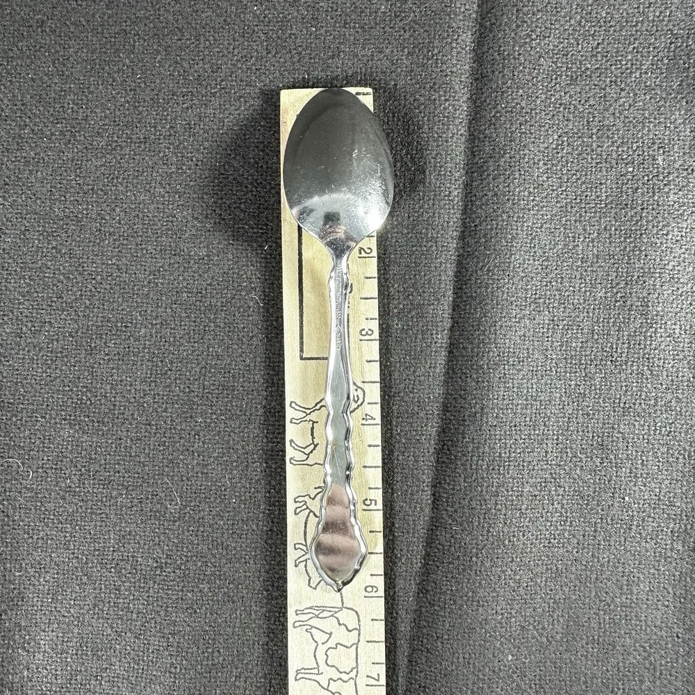 Oneida Satinique 18/8 Stainless Steel Teaspoon (Set of 4)